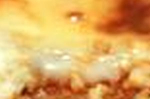 lasagna-300x199