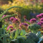 Flower Vegetables